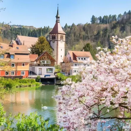 Beinberg Im Schwarzwald